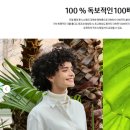 폴디브