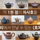 지유명차서귀 이미지