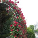 시곡공원 이미지