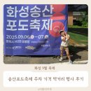 송산포도로150번길 | 경기도 화성 송산포도축제 먹거리 주차 가격 행사 후기