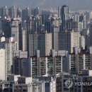 연합에이엠씨 티스토리