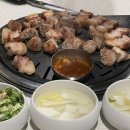 제주 서쪽 모음 ( 250514-250517 )