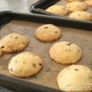 야니소프트 이미지