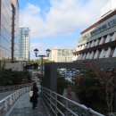 몽마르뜨 이미지