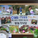 한천리마을