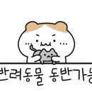 풍경소리캠핑장 이미지