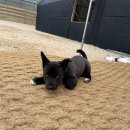 미르유치원 이미지