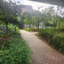 현대아파트길 이미지