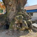 상곡보건진료소 이미지