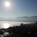 옥산호수정원진달래관광농원 이미지