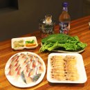 디스이즈핫 | 제주 하도리 아트 펜션-디스이즈핫 숙박 후기