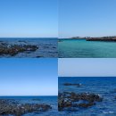 판포바다향기 | 제주도 신창풍차해안 카페 :: 클랭블루 가기 전, 판포포구 들려보기!