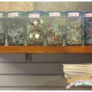 코야커피 이미지