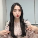 주호타워 | 구디 미용실 기분전환 커트 정살롱 주호디자이너 후기