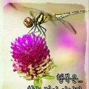 논곡동경로당 이미지