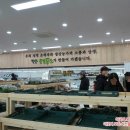날샘푸드