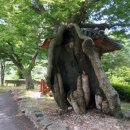 섬진강자전거길7 이미지