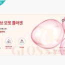 레브진헤어