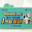 멍이와냥이 이미지