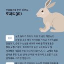 나이스츄미츄 이미지
