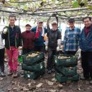 태민농장 이미지