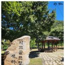 덕천교_상 | [외씨버선길]2길 슬로시티길 역방향 2025.7.27