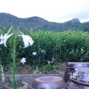 요셉의원 이미지