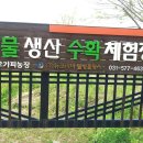 우진희농장 Daum카페
