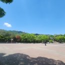 민주해장국 이미지