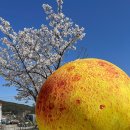 정관유치원 이미지