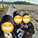 세도 다근진나루 및 구경정 네이버블로그