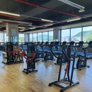 자이언트 피트니스 이미지