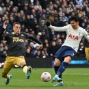 뉴캐슬PC 이미지