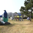 배미꾸미펜션 네이버블로그