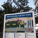 힐링비어존 이미지