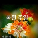 샬롬 이미지