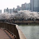 운천저수지 이미지