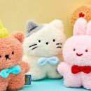 짱인형shop 이미지