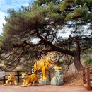 부모님과 가기좋은 웰니스 여행지 :: 문수산 산림치유센터 프로그램, 국립백두대간수목원, 봉화 목재문화체험장​, 청량사 이미지