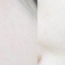 미인록 네이버블로그