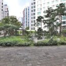 아이코리아부속새세대유치원 이미지