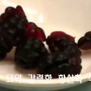 고전식품 이미지