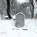 문금 농장 이미지