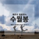 수월봉민박 이미지