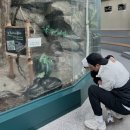 양서·파충류생태공원 아나콘다관 이미지