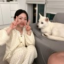 무안펜션 | 전남 무안 반려견 동반 독채 펜션 굿나잇도그 후기