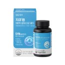 지큐 카카오 검색결과