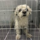 남창강변로 이미지