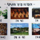 평창농원 이미지