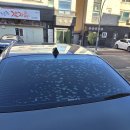 신호2길 19, (교현동) | 고덕 썬팅 K9 열선 기포 뽀글이 뒷유리 재시공 후기입니다.